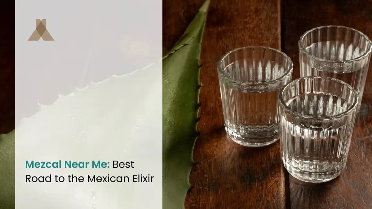 Mezcal Near Me: Best Road to the Mexican Elixir